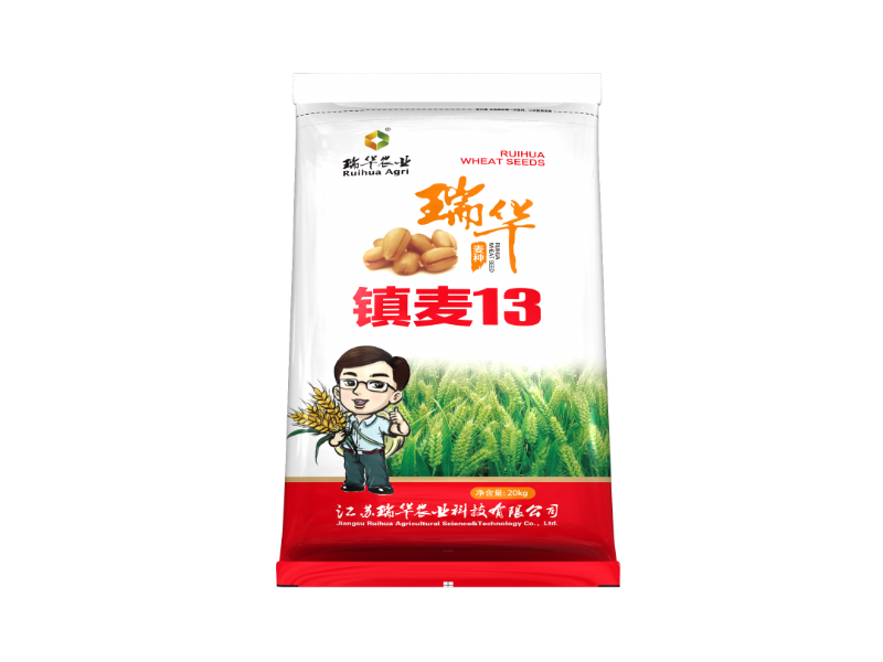 鎮(zhèn)麥13 